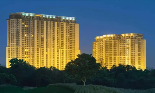 DLF - The Crest